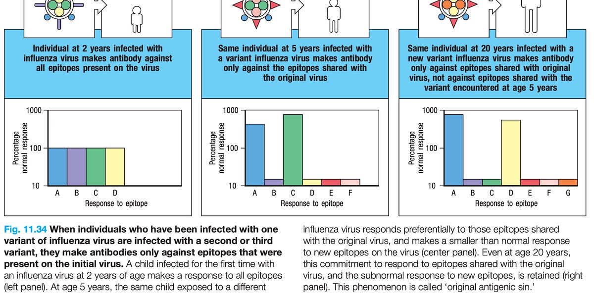 Original antigenic sin Are boosters a threat?