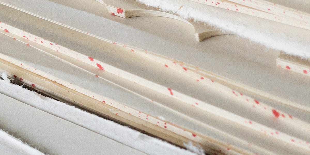 Why Can't I DogEar a Book? by Evan Patrick Maloney