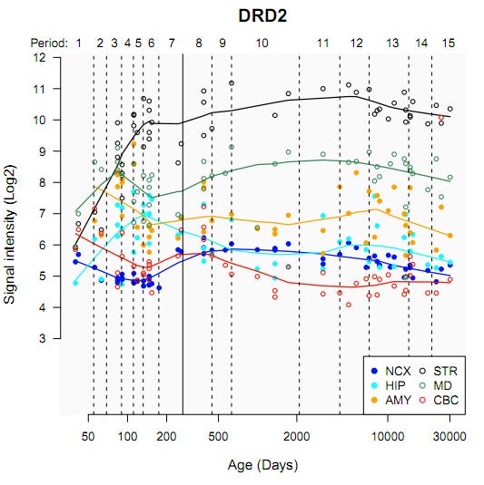 Human Gene Expression Database Across Ages And Brain Regions Human gene expression database across ages and brain regions