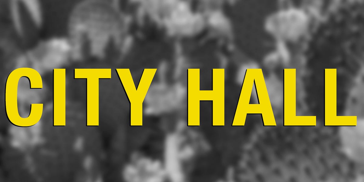 3 COUNCIL SEATS AND 3 PLANNING SEATS UP IN 2022/2023