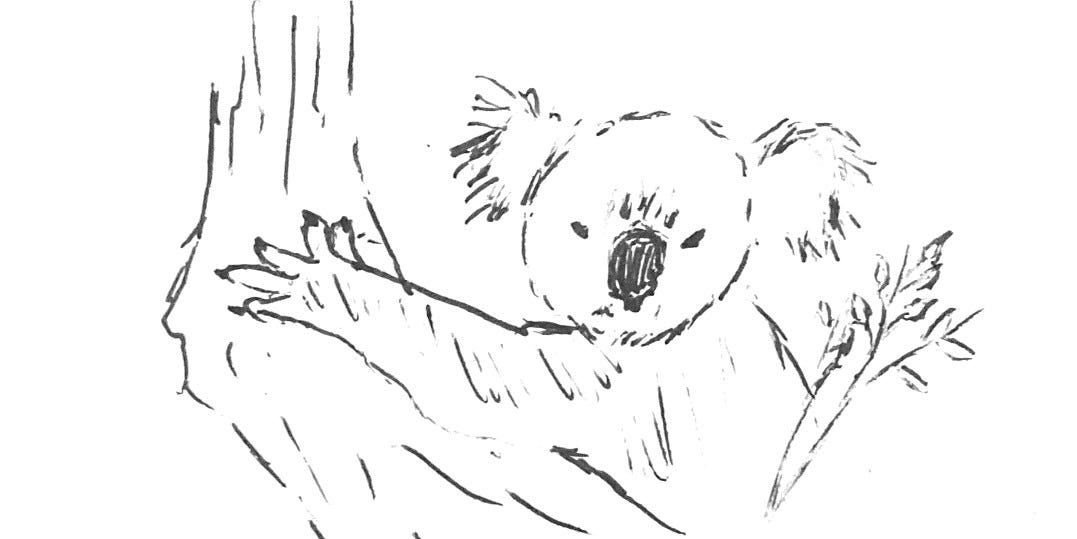 Island by Parker Berschoff