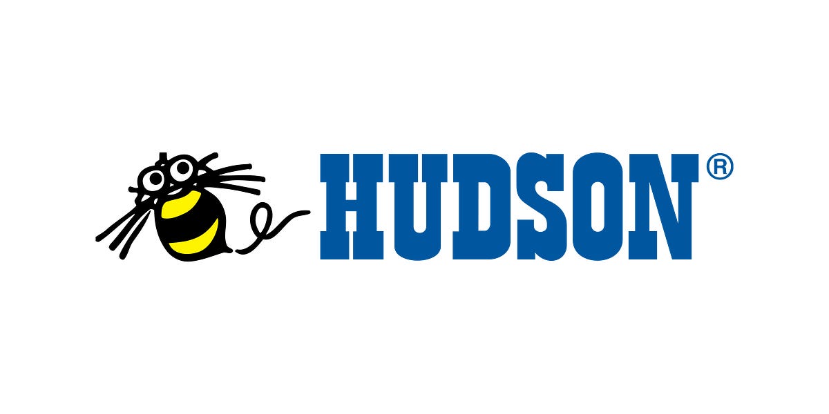 Hudson soft clearance nes games