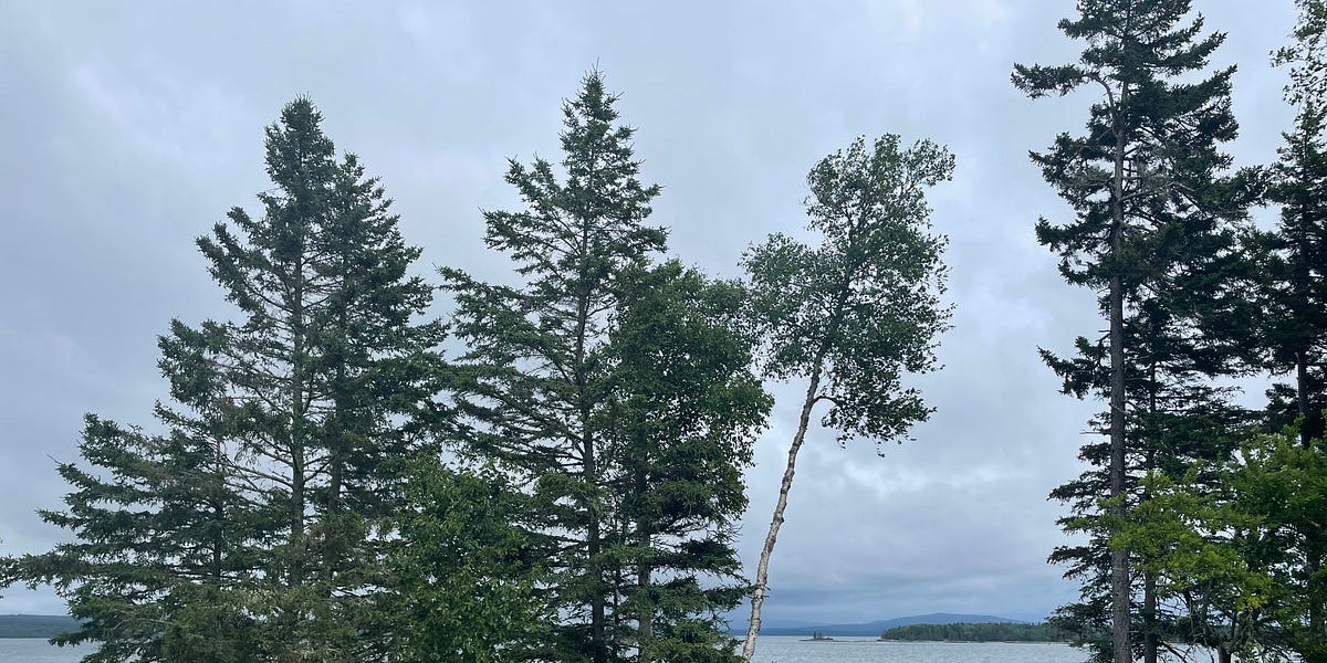 Maine's remote work opportunity by Matthew Yglesias