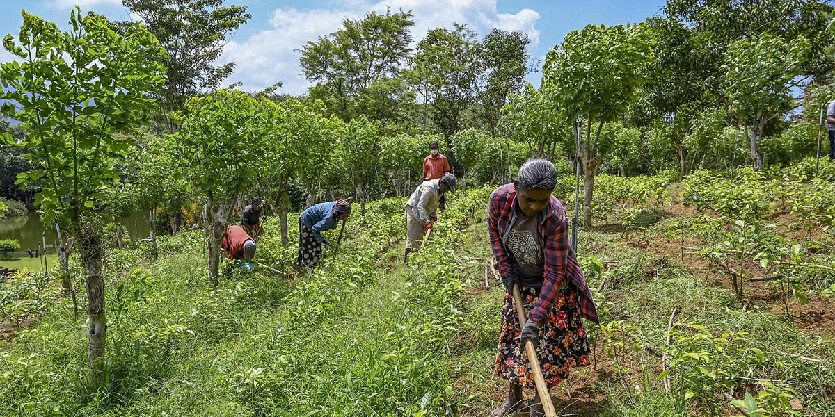 Catastrophe by Gary Jones Muck and Mystery