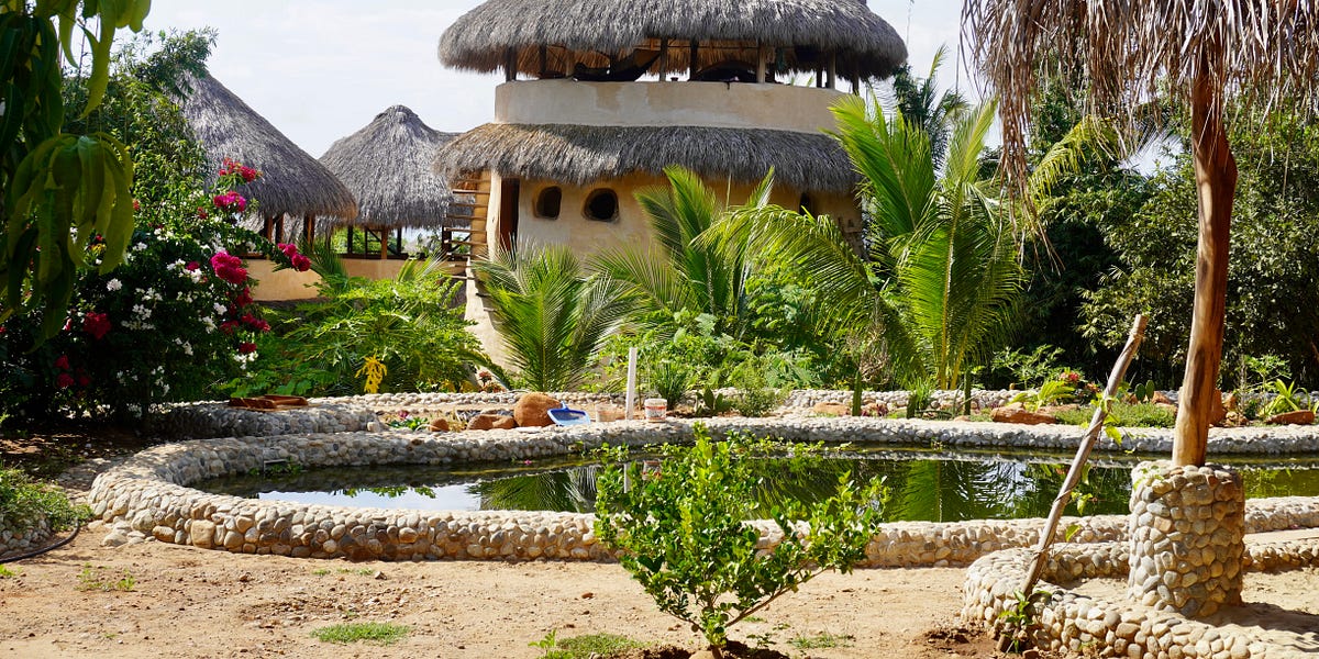 113 Are you ambitious or aspiring? (A book review of Agnes Callard's Aspiration)