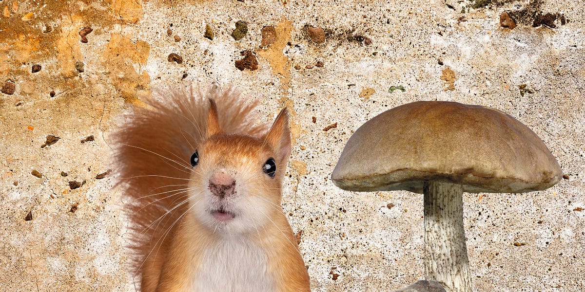 a pretzelshaped question by KOh Oh My Heart