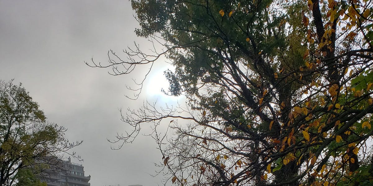 Foggy Bottoms by Charlie Huynh