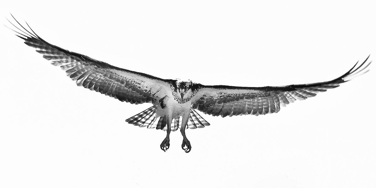 Hiram Falls A small town with secrets.