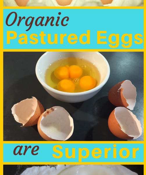 A Dozen Beautiful Reasons Organic Pastured Eggs are Superior