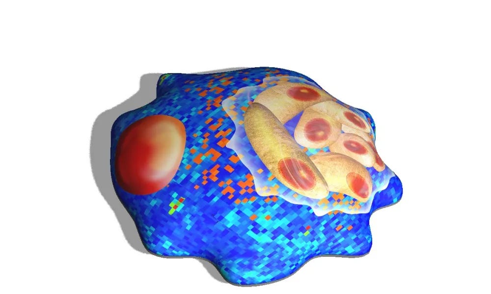 Parasites and cancer relationship It's complicated.