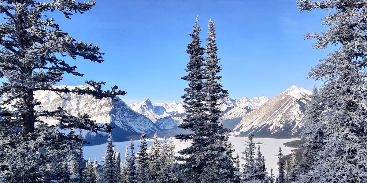 Where to CrossCountry Ski and Snowshoe Near Calgary This Winter