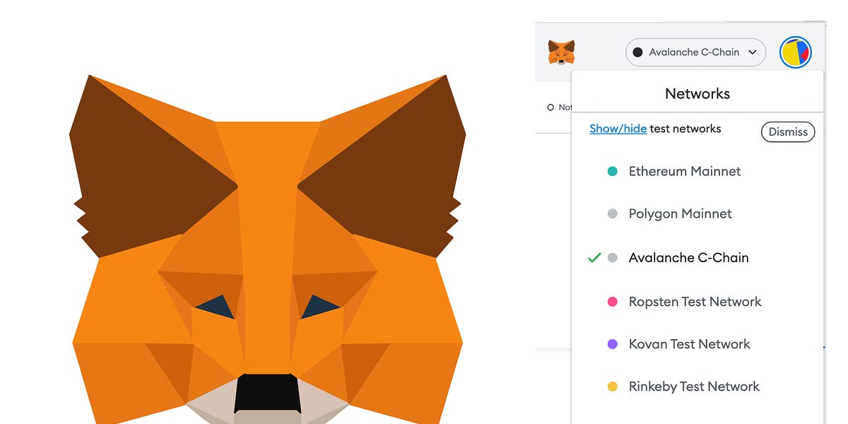 metamask difference between different networks