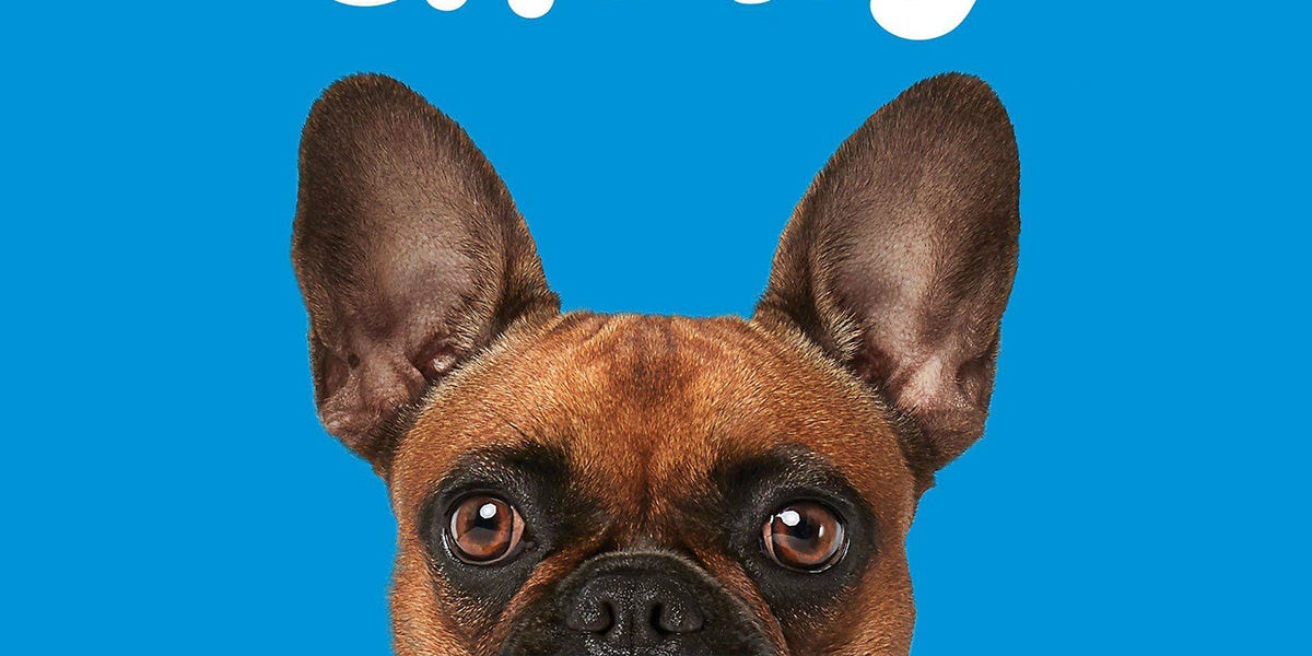 My first short idea Chewy Inc CHWY by Paul Cerro