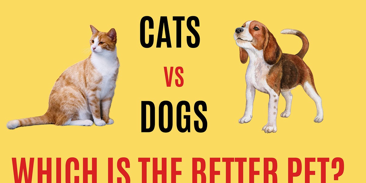 Dogs v cheap cats