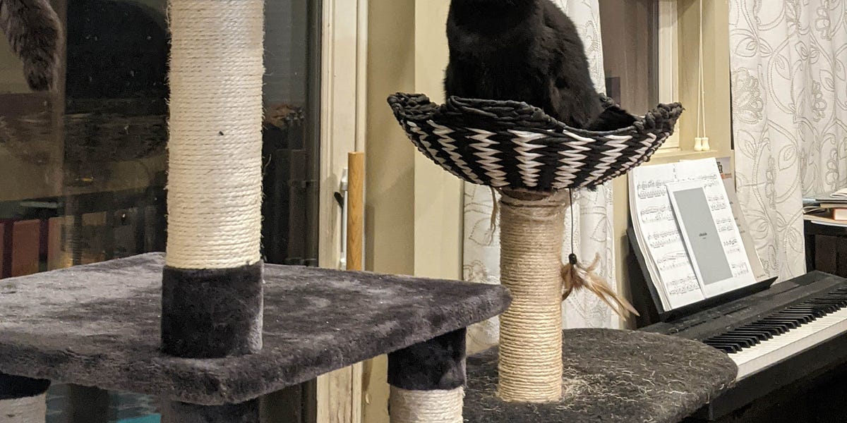 Parsing A Comma-Delimited String - by Corey Haines