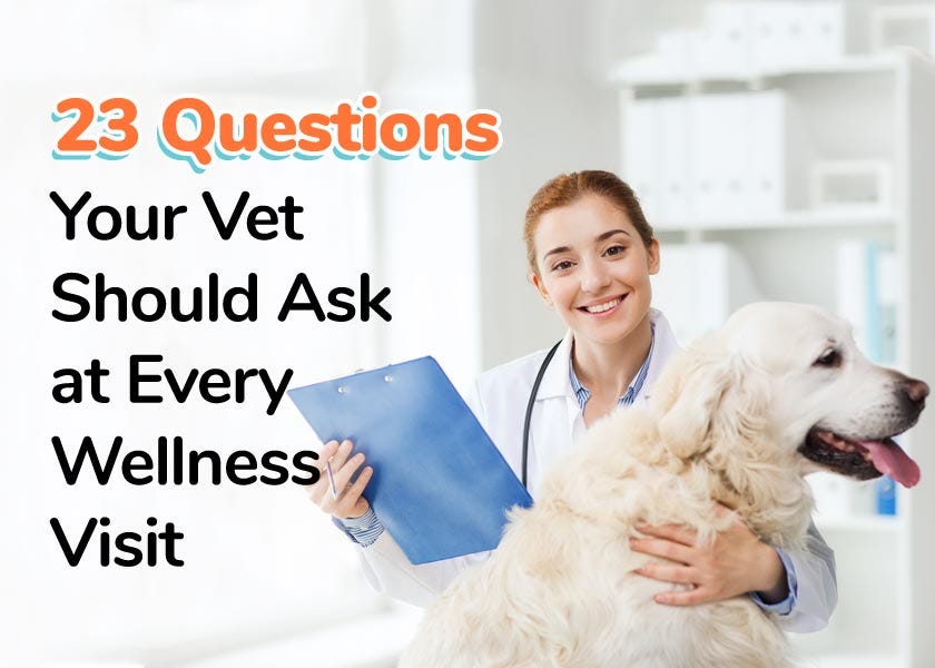 Wellness vet new arrivals