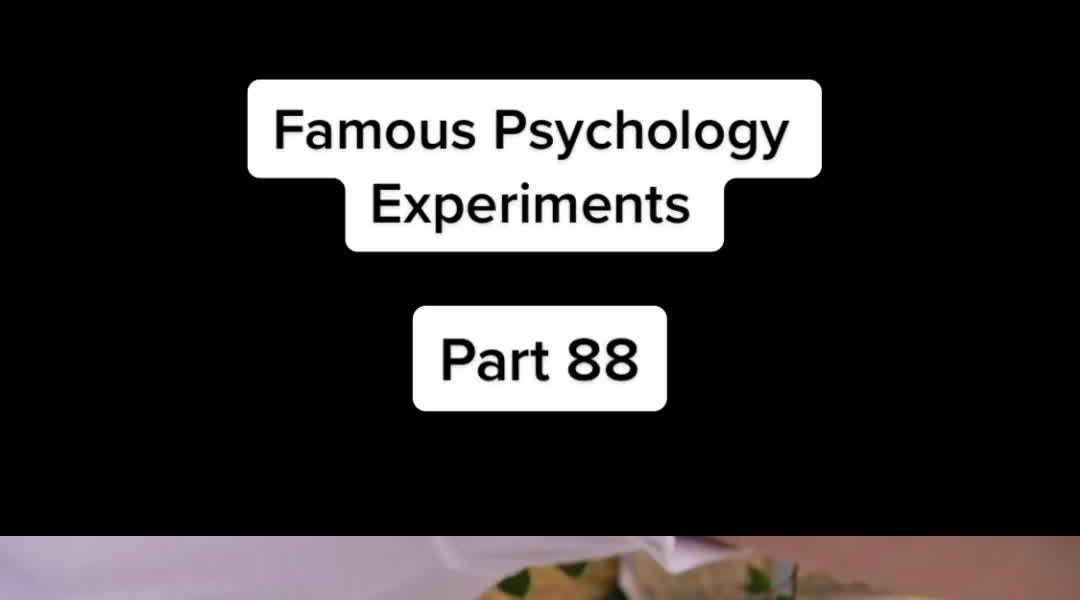 Famous Psychology Experiments Part 88 Social Lab TV