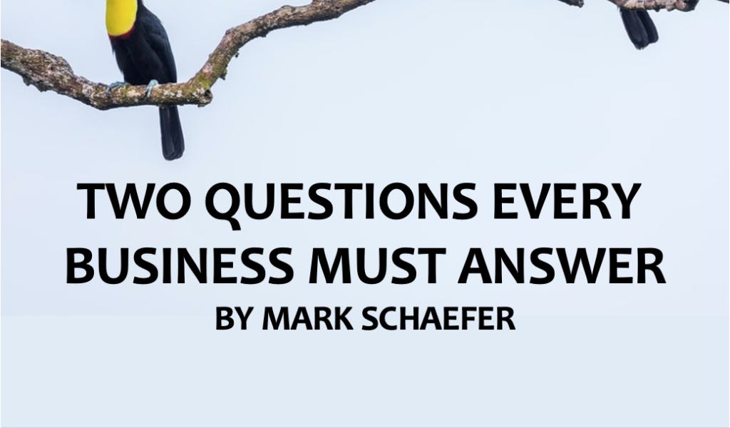 The two key business questions every website must answer