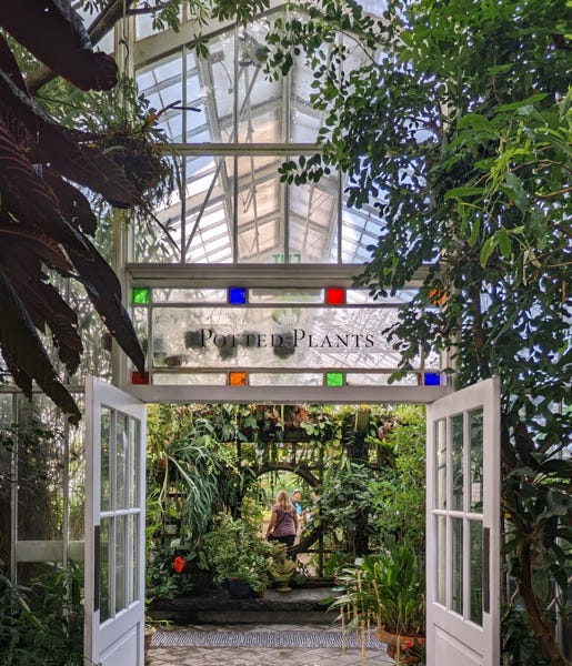 Paid Subscriber Newsletter San Francisco Events, October 2022 Things To Do In SF