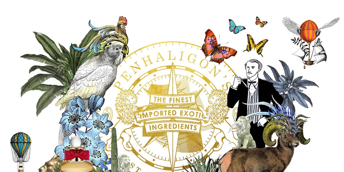 William 2025 henry penhaligon