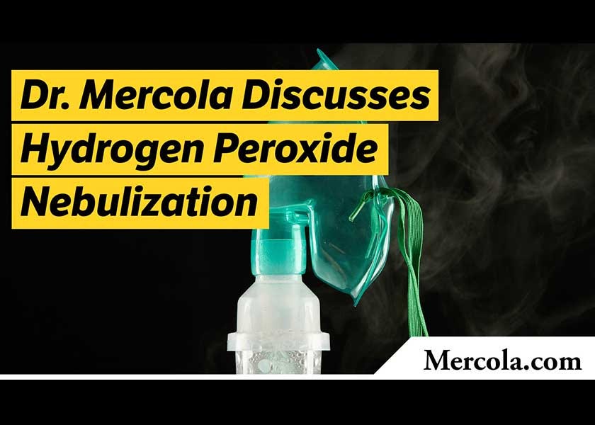 What is Fitbit Labs visual data 3