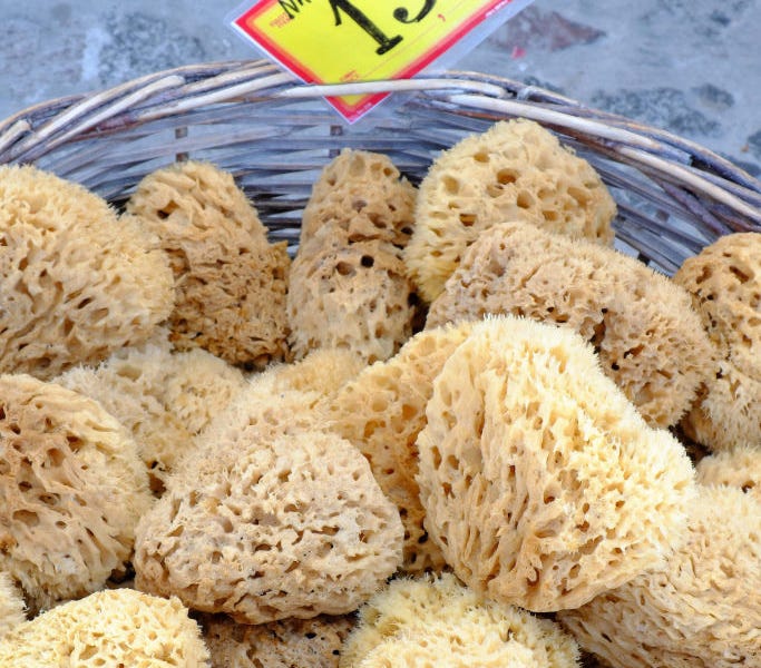 Are Sea Sponges Safe to Use as Natural Tampons?