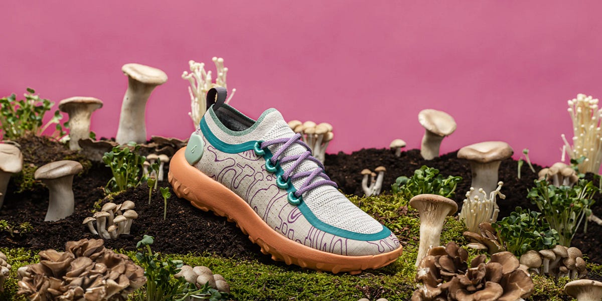 allbirds for hiking