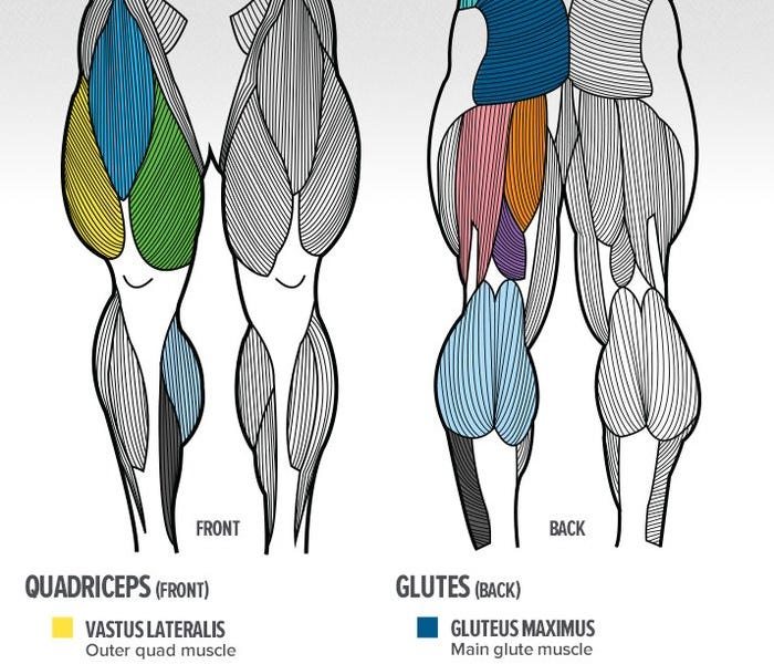 Your Guide To Training Legs by BowTiedOx