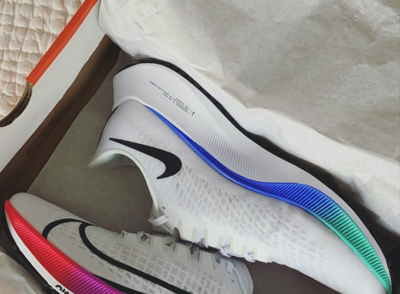 Pegasus 37 top olympic colorway