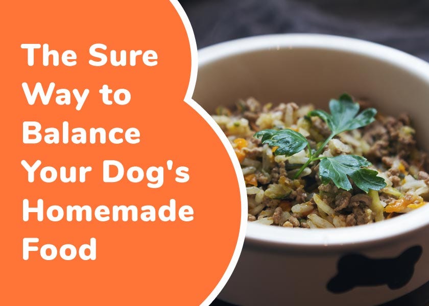 Dr karen becker dog food recipes online