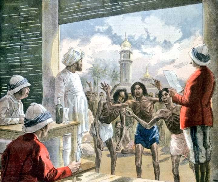 Saturday Sprouting Reads (Farm Laws, Collateral Managers, The Problem