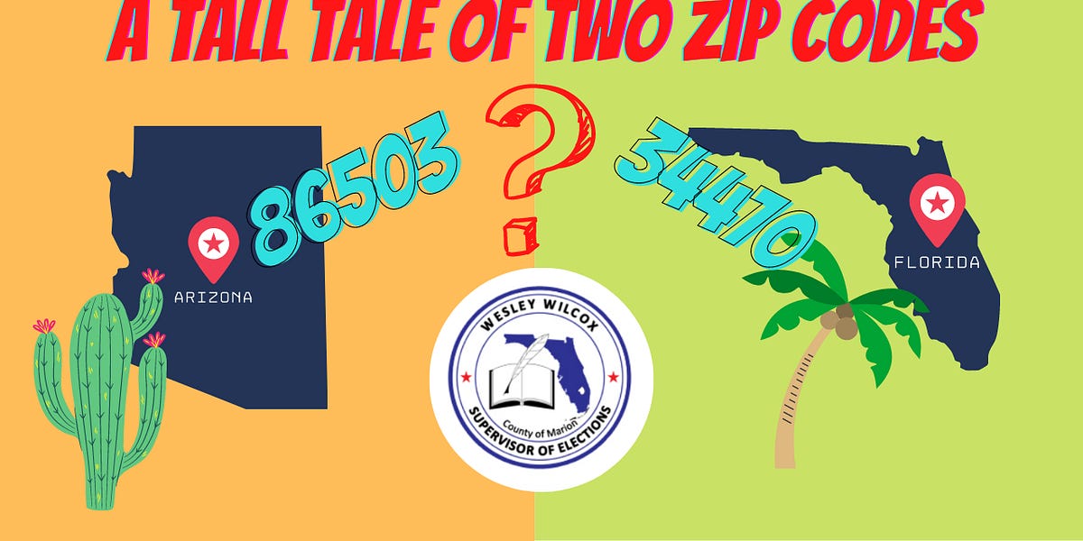 A Tall Tale of Two Zip Codes Praying Mantis