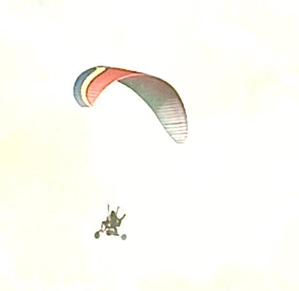 Democracy Dreaming by Benjamin Wittes Dog Shirt Daily