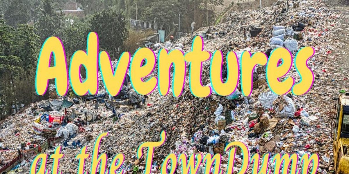 Adventures at the Town Dump by C. L. Nichols