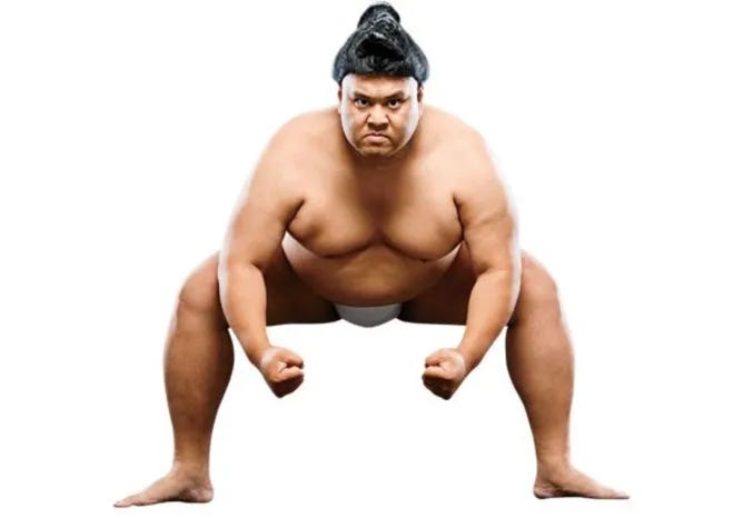 like a sumo wrestler by Dr Sue Whitcombe