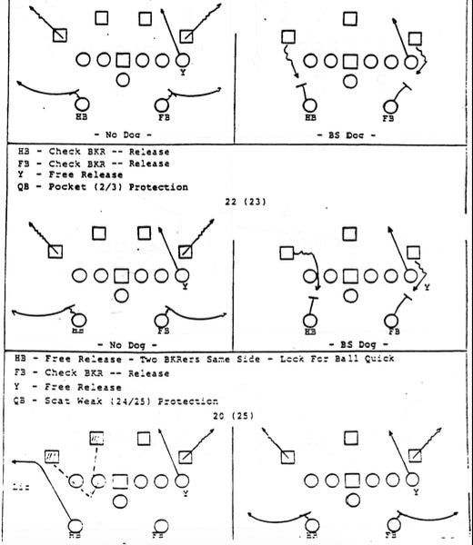 West Coast Offense Definition and Pass Protection Terminology