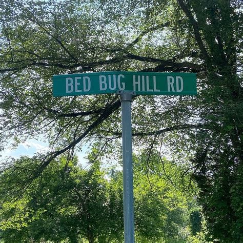 The Rat Race To End Humanity