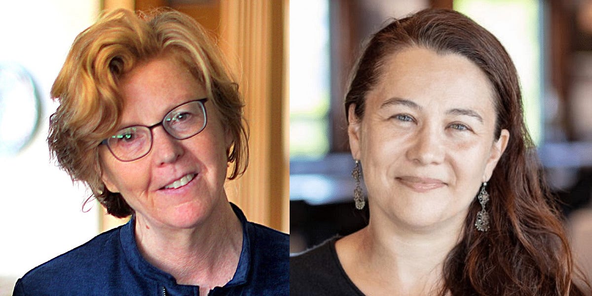 Volts podcast Audrey Schulman and Zeyneb Magavi on how to replace