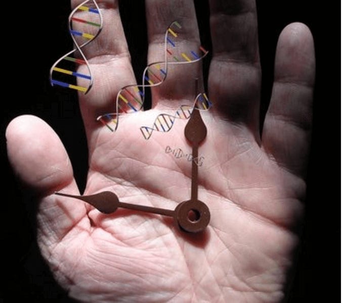 Programmed Aging - by Elliott - Revelation of Fire