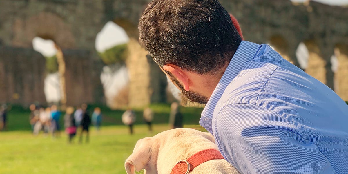 The Role of Dogs in Rome, from Antiquity to Today