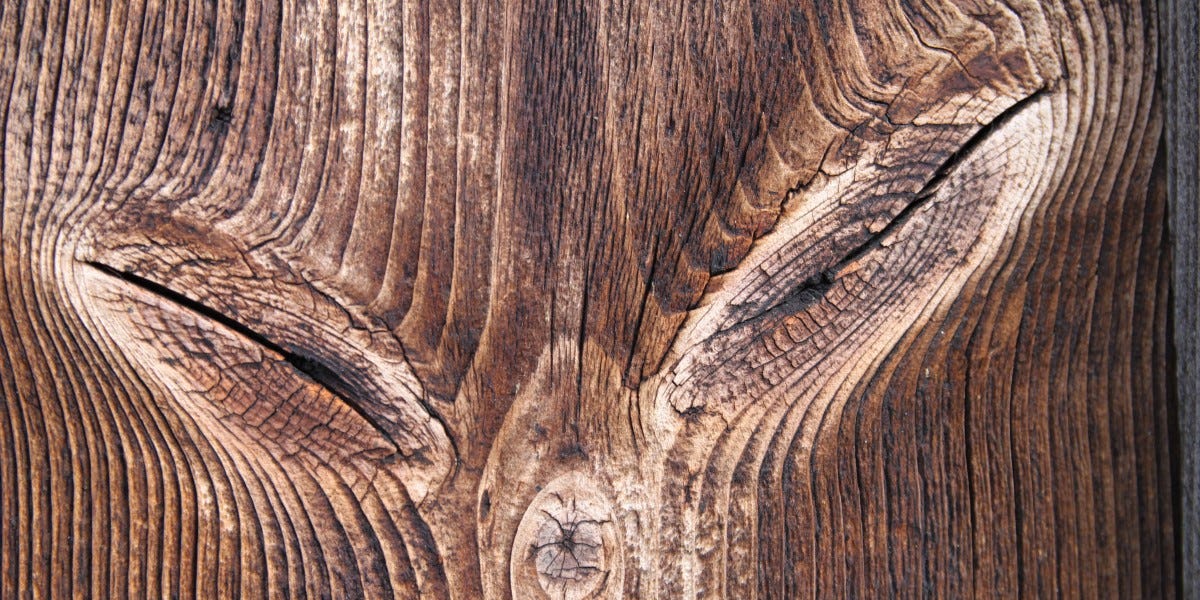 Tracing Woodgrains - Tracing Woodgrains