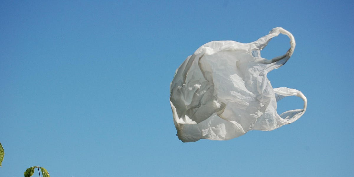 The Appearance Of Impropriety by Jim Richardson