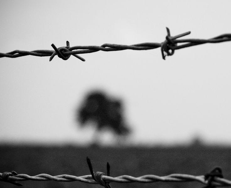 Vatan by Exile Journal Exile’s Newsletter