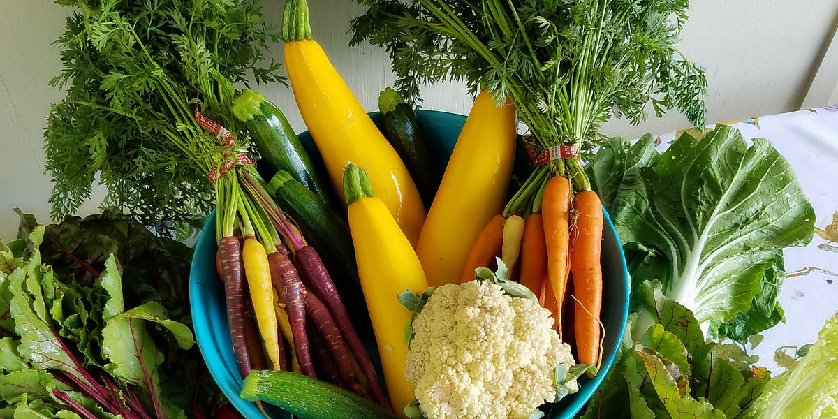 How To Start Growing Your Own Food No Experience Required