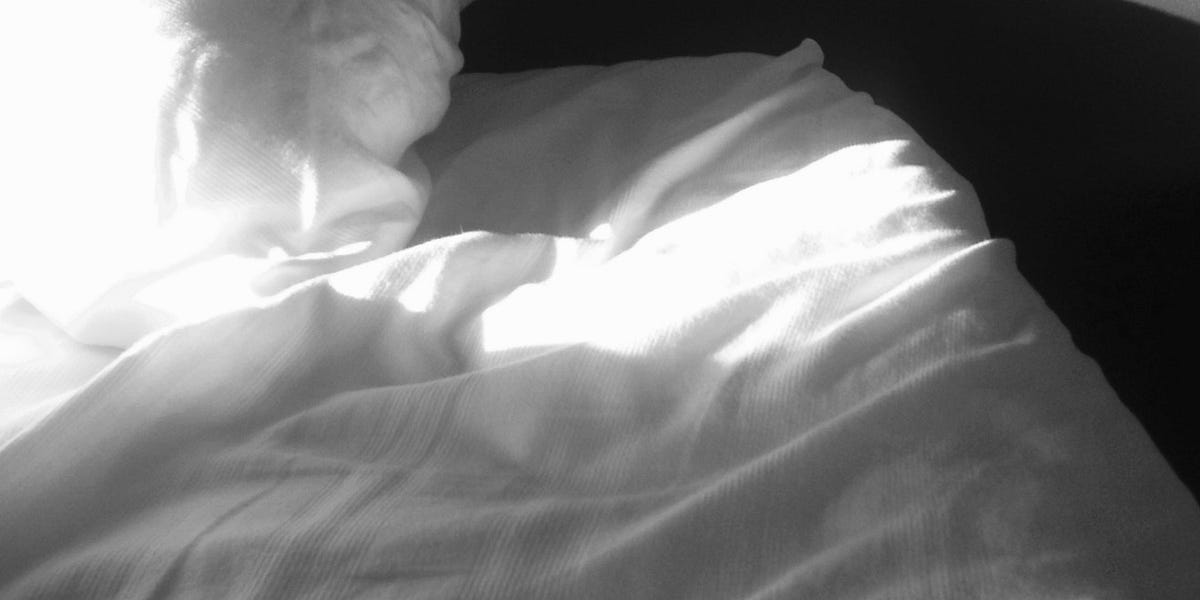 Cardboard Tastes Good, Right? by Susan A Mulder