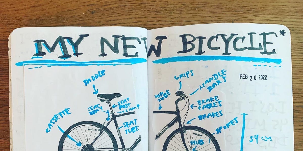 My new bicycle 2025