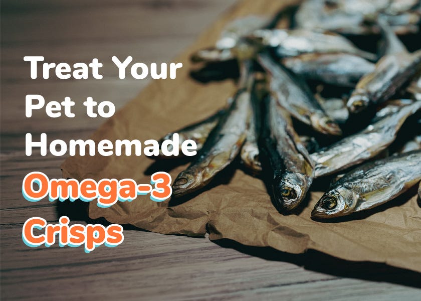 Homemade fish oil discount