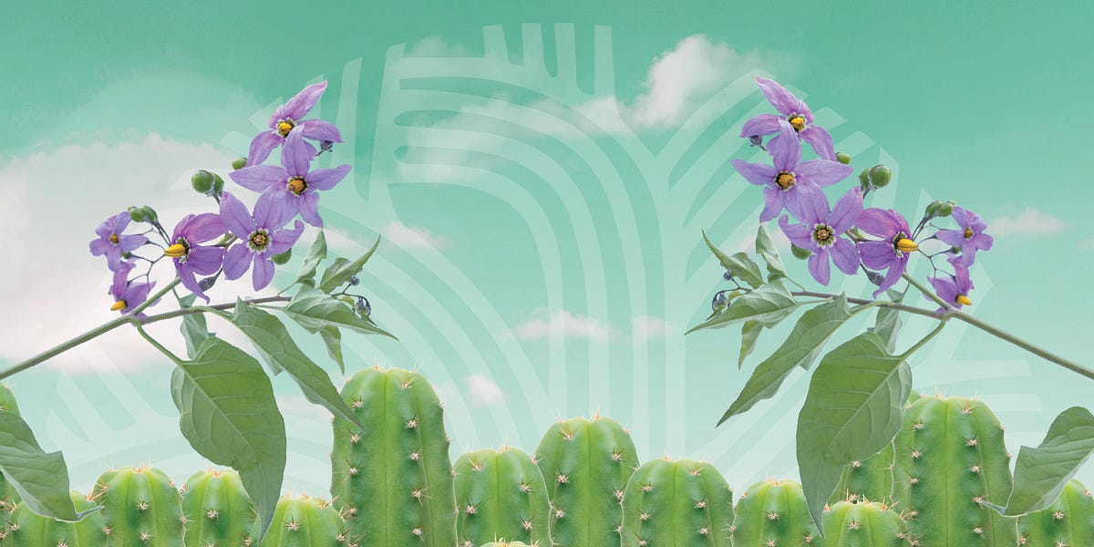 2021 Oakland Psychedelic Conference Video Available Now!