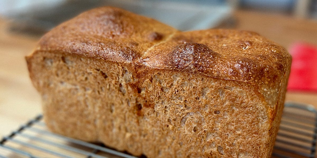 Best Whole Wheat Bread Machine Recipe Easy & Homemade 2023