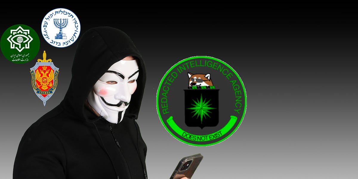 How Cyber-Anarchists Became Government Assets